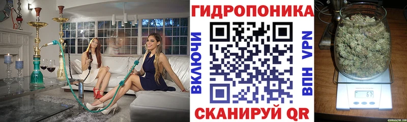 Сколько стоит Чкаловск Марихуана  АМФЕТАМИН  Героин  Alpha PVP  Гашиш 