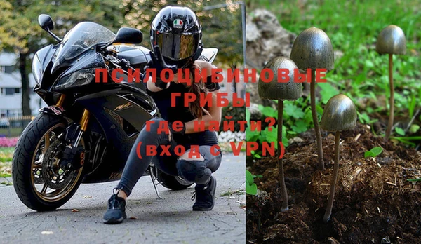 apvp Алексеевка