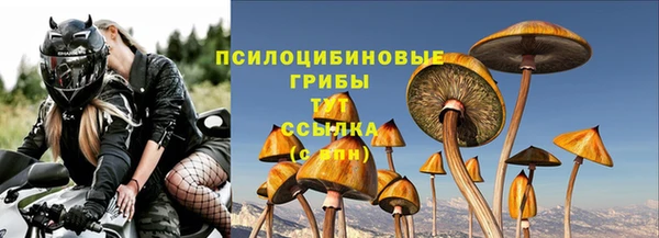 apvp Алексеевка