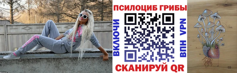 Галлюциногенные грибы ЛСД  как найти наркотики  Чкаловск 